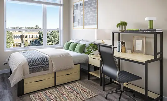 Furnished student bedroom