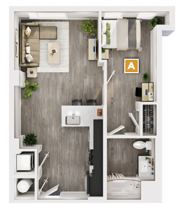 Ardmore Floor plan